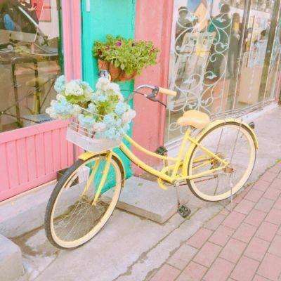 万博·体育-登录入口